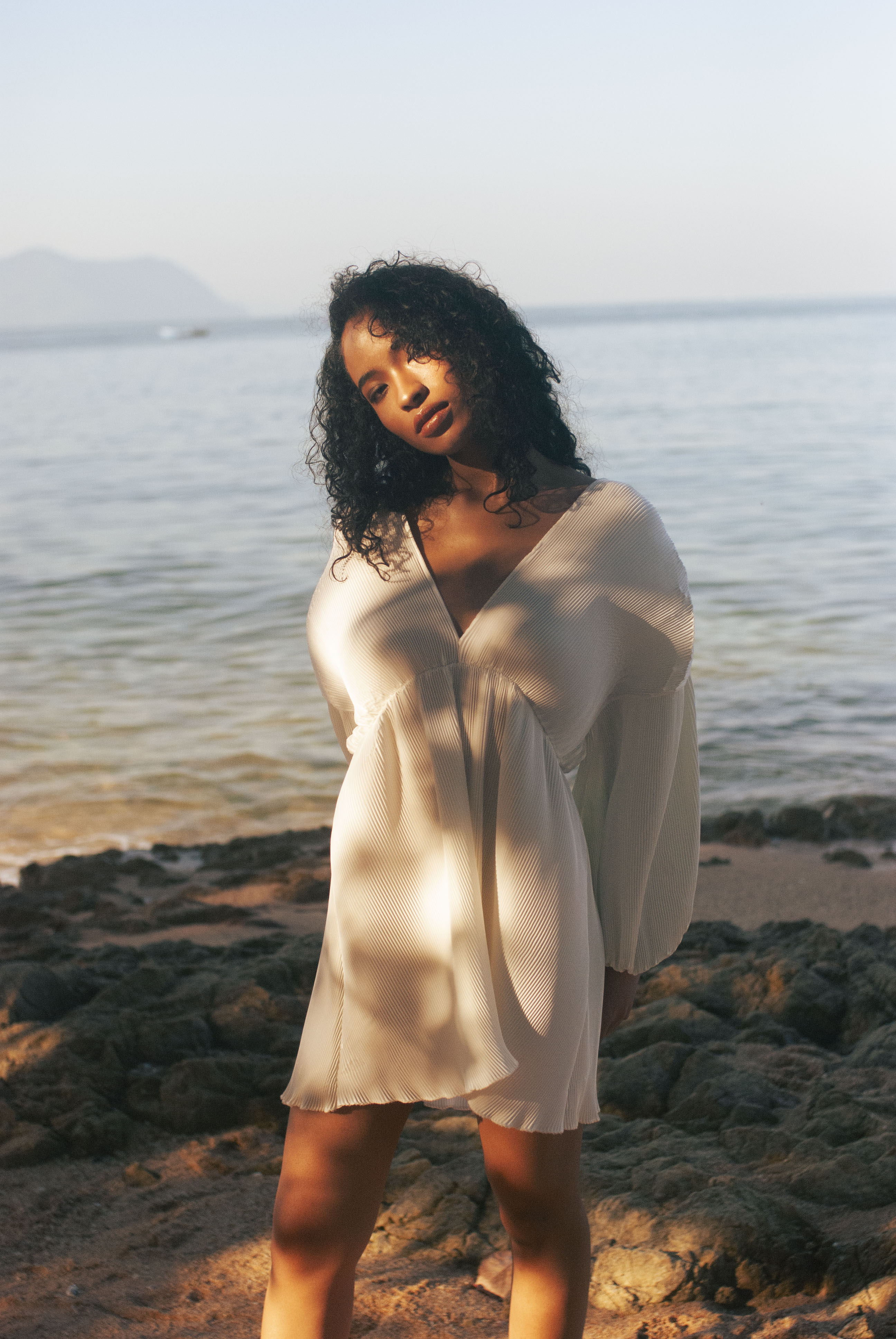 Serena Pleats Dress PARISSARA