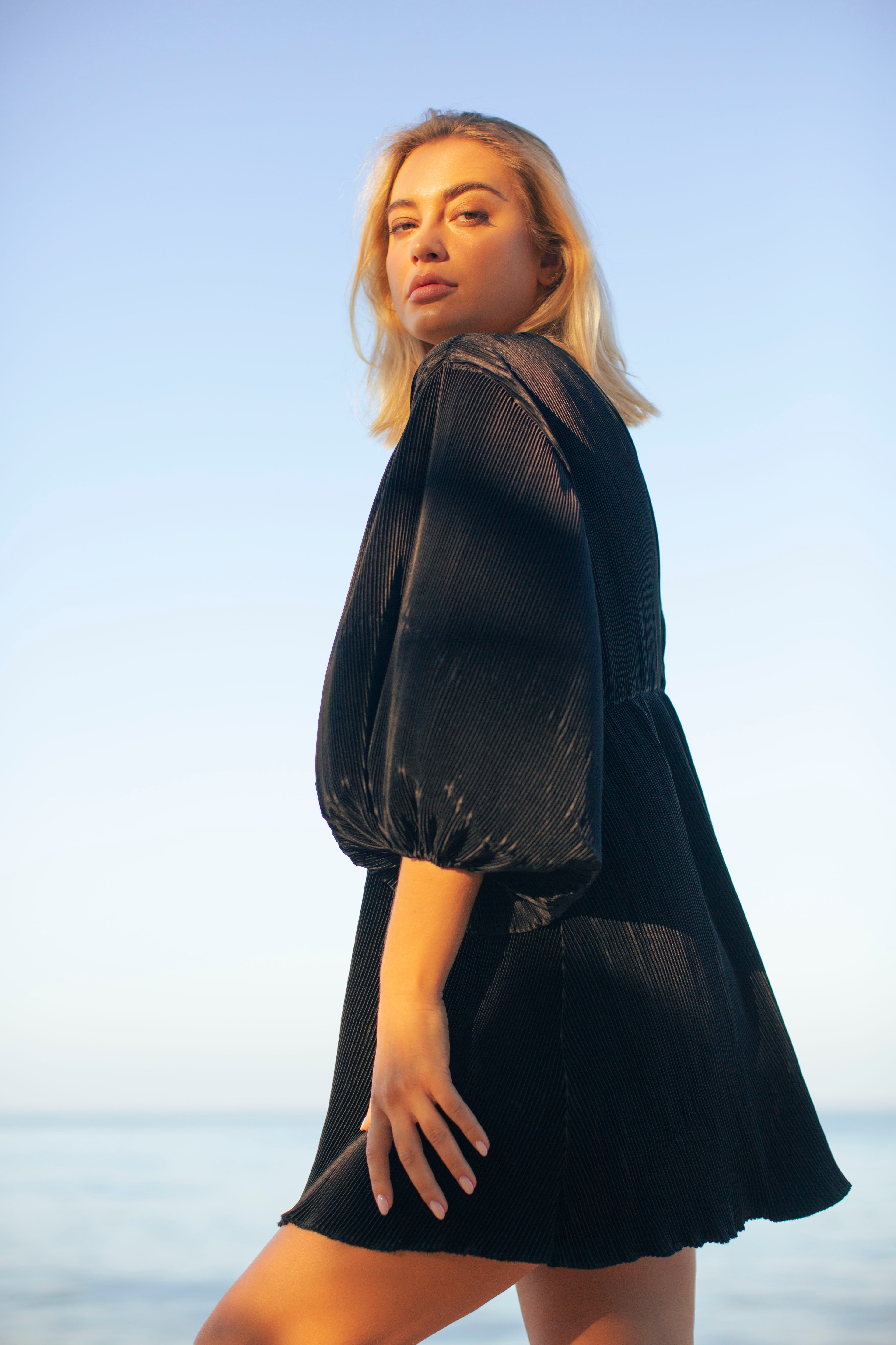 Serena Pleats Dress PARISSARA