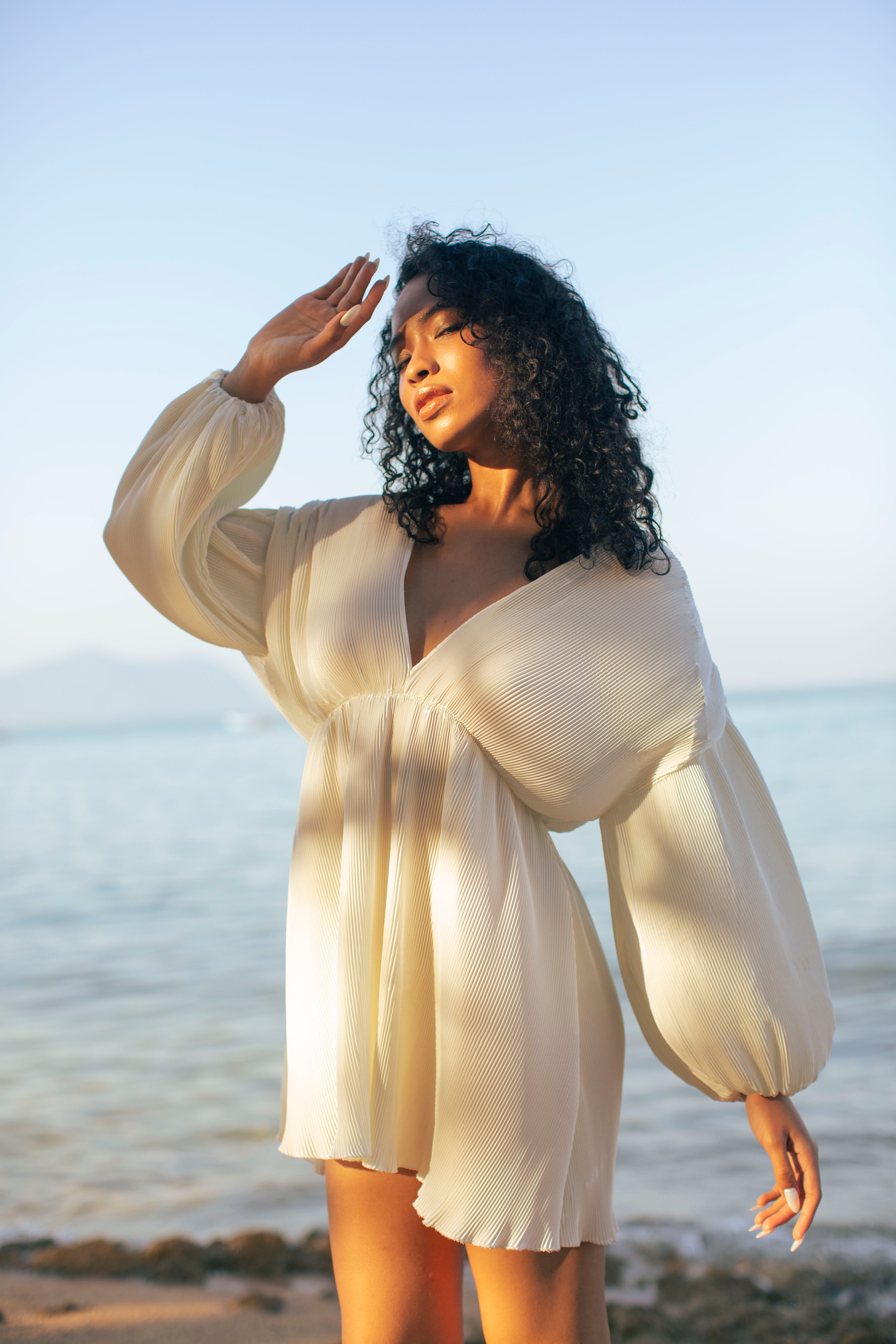 Serena Pleats Dress PARISSARA