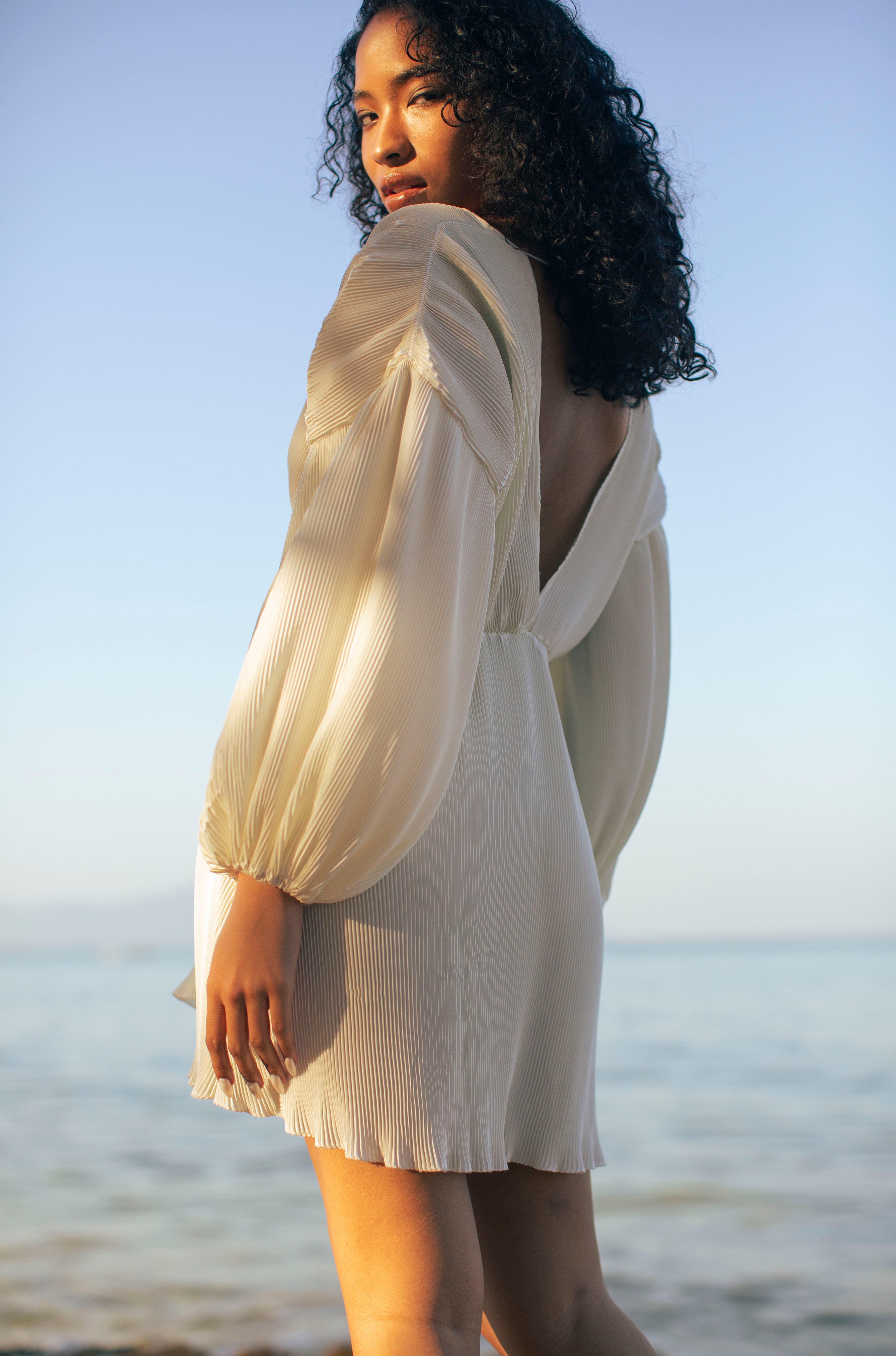 Serena Pleats Dress PARISSARA